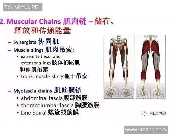 重庆网球队个人能力深度解析与发展潜力探讨