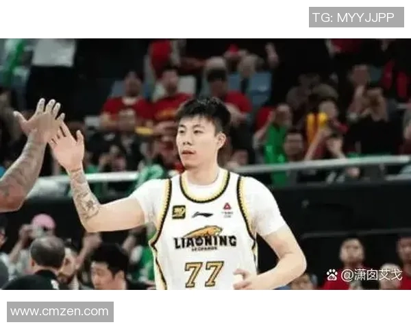 今日广厦对阵辽宁精彩比赛录像回放全程分析与精彩瞬间回顾