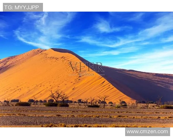 南非与纳米比亚激战正酣谁能在这场较量中笑到最后 南非与纳米比亚激战正酣谁能在这场较量中笑到最后