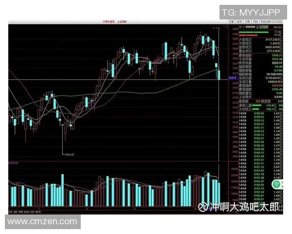 波动止损指标VS的实用技巧与应用分析探讨